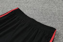 Conjunto de Treino Bayern de Munique 2022/23 Torcedor Masculino Vermelho e Azul