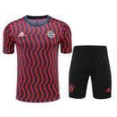 Conjunto de Treino Bayern de Munique 2022/23 Torcedor Masculino Vermelho e Azul