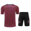 Conjunto de Treino Bayern de Munique 2022/23 Torcedor Masculino Vermelho e Azul