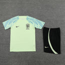 Conjunto de Treino Brasil 2022/23 Torcedor Masculino Verde Claro